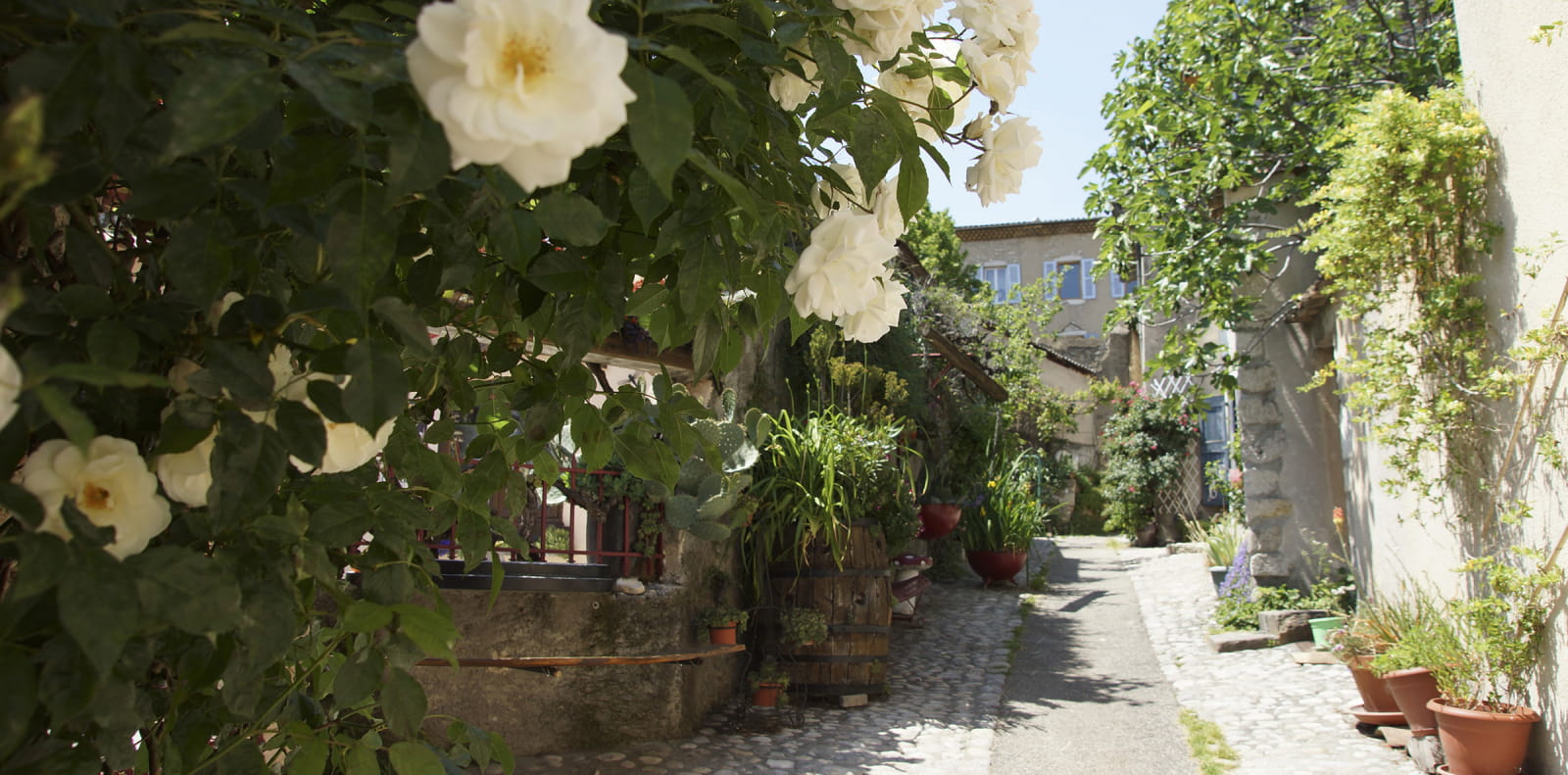 Ruelle de Die avec des roses