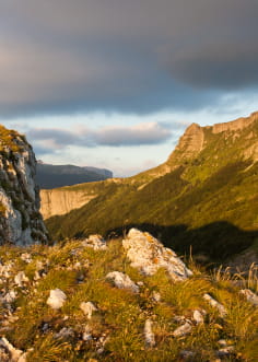 paysage de montagne dans le Parc naturel régional du Vercors