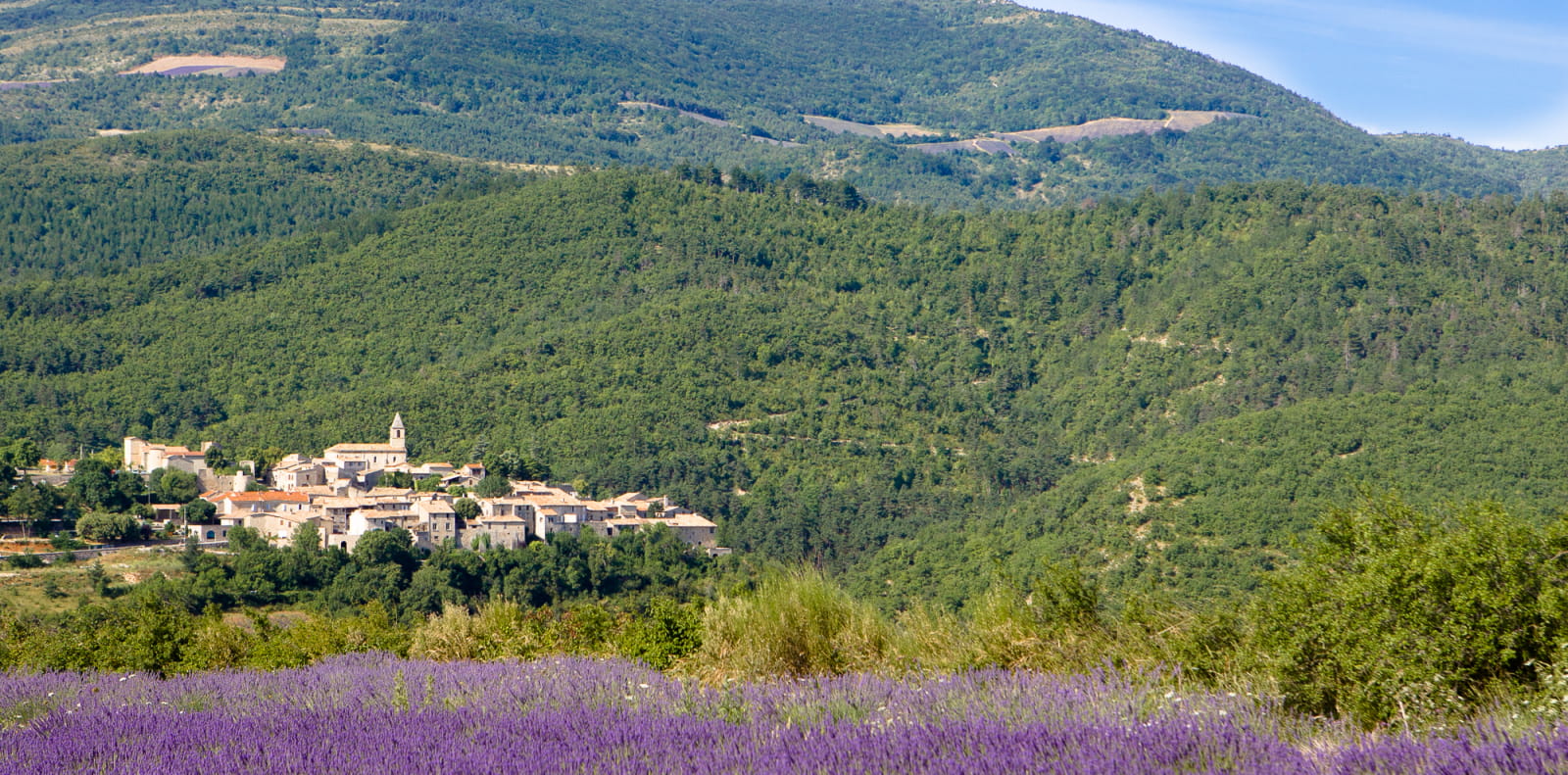 village entre montagne et champ de lavande dans le PNR des Baronnies provençales